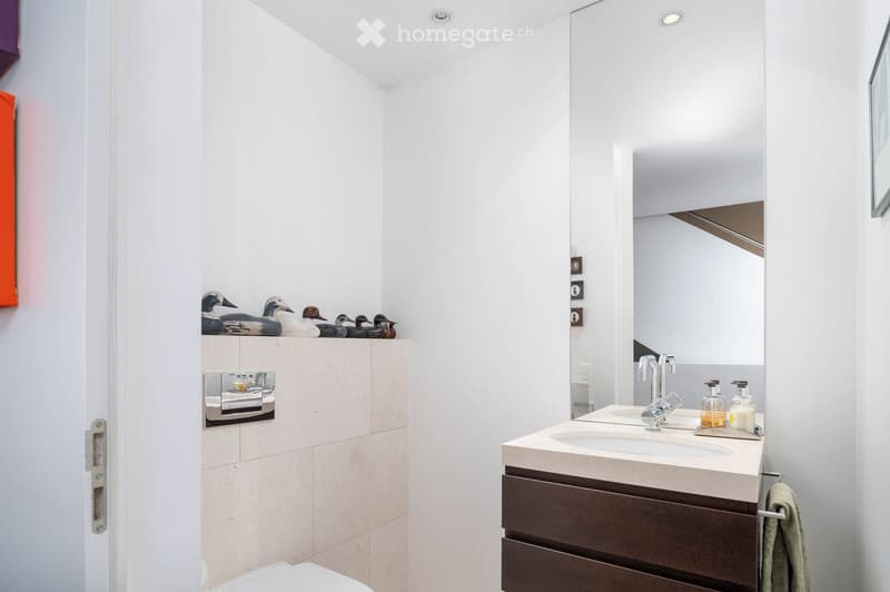 Modern bathroom with white walls, a large mirror, a double sink with a sleek faucet, a toilet, and decorative duck figurines on a shelf.