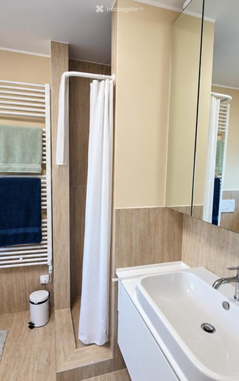 Modern bathroom with a white sink, large mirror, towel rack with towels, shower curtain, and a small trash bin.