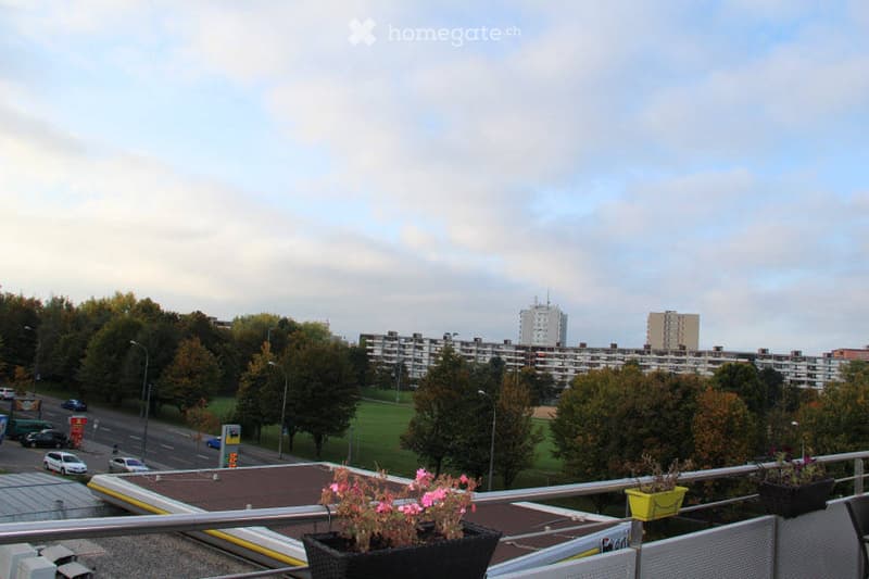 Balcony with potted plants, overlooking a residential area with buildings, trees, and a road.