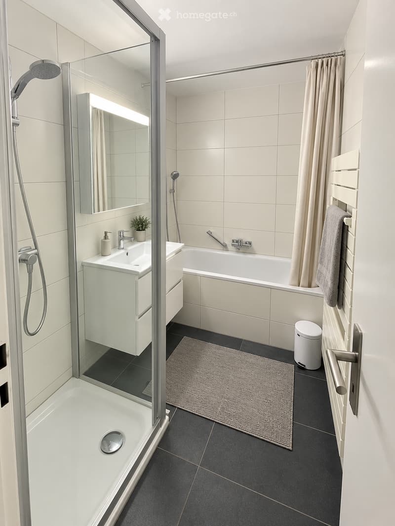 Modern bathroom with a bathtub, shower, sink, and a small plant on the sink counter. Features a glass shower enclosure, a towel rack, and a grey bath mat on the floor.