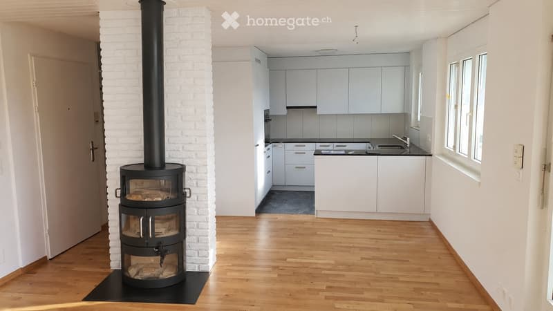 Open-plan living and kitchen area with a wood-burning stove, light grey kitchen cabinets, and a modern sink.