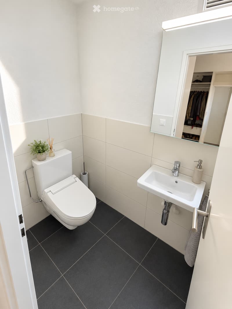 Modern bathroom with white tiles, black floor, toilet, sink, mirror, and small plant on toilet tank.