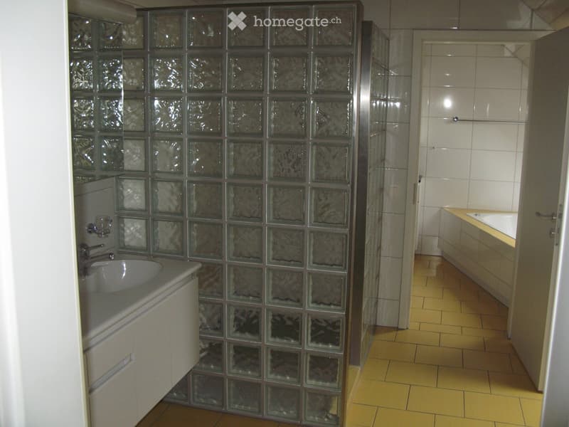 Modern bathroom with a glass block shower enclosure, a white sink with a chrome faucet, and a bathtub with a tiled surround.