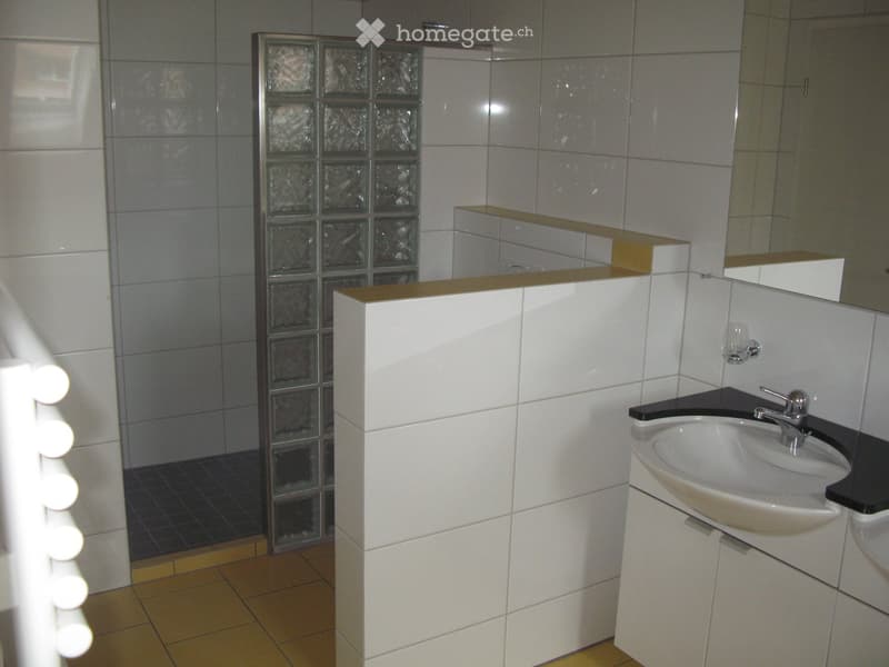 Modern bathroom with white tiles, a glass-block shower enclosure, a white sink with a chrome faucet, and a mirrored cabinet.