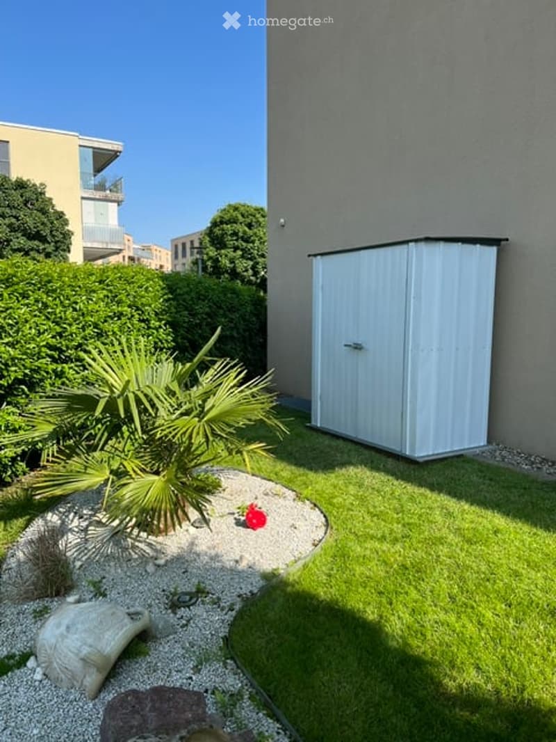 Well-maintained garden area with a small palm plant, neatly trimmed hedges, a white shed, and a small flower bed with a single red flower.