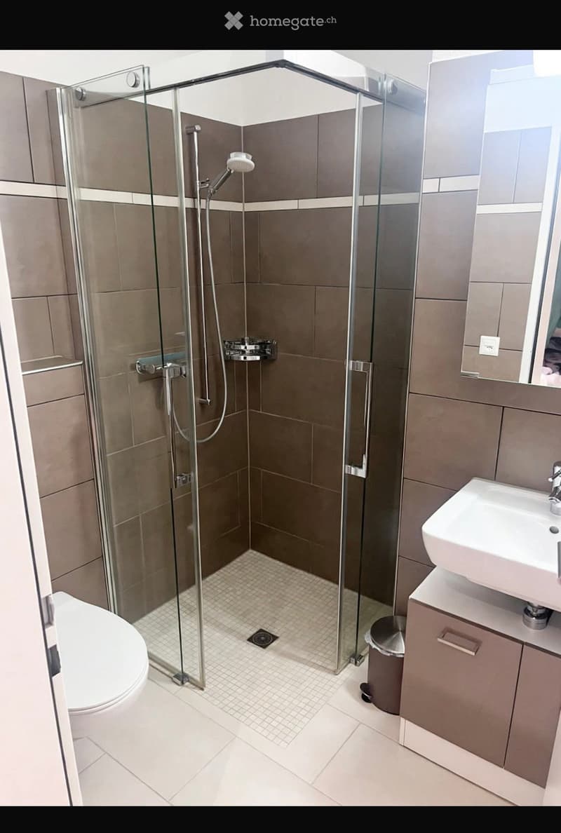Modern bathroom with a glass-enclosed shower, toilet, sink, and mirrored cabinet.