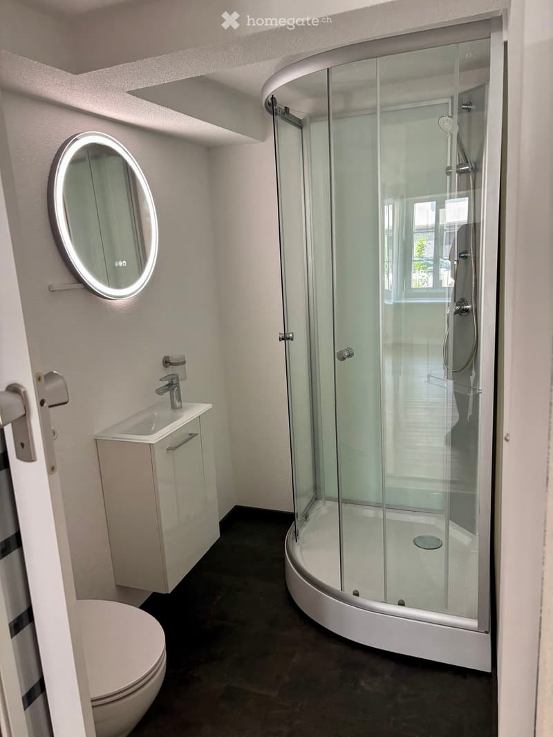 Modern bathroom with a corner shower, sink, toilet, and a round mirror on the wall.