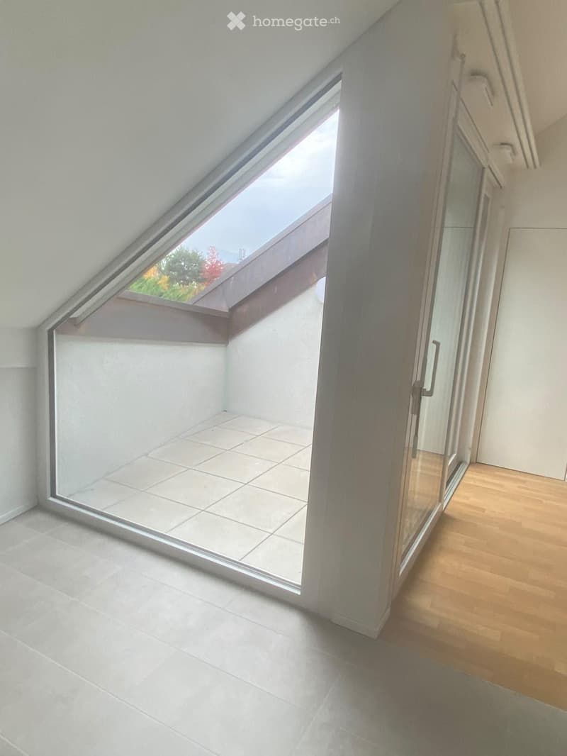 Bright hallway with wooden flooring, large glass sliding doors leading to a balcony with a skylight above, and a view of greenery outside.