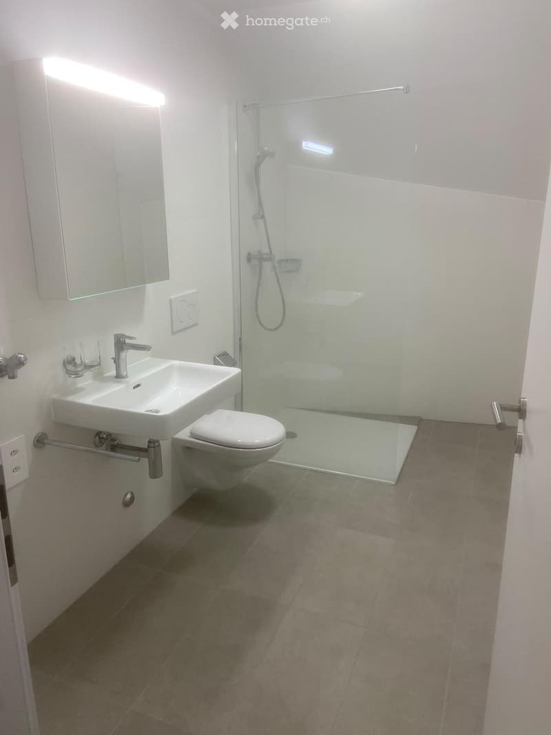 Modern bathroom with a white sink, toilet, glass-enclosed shower, and a mirror above the sink.