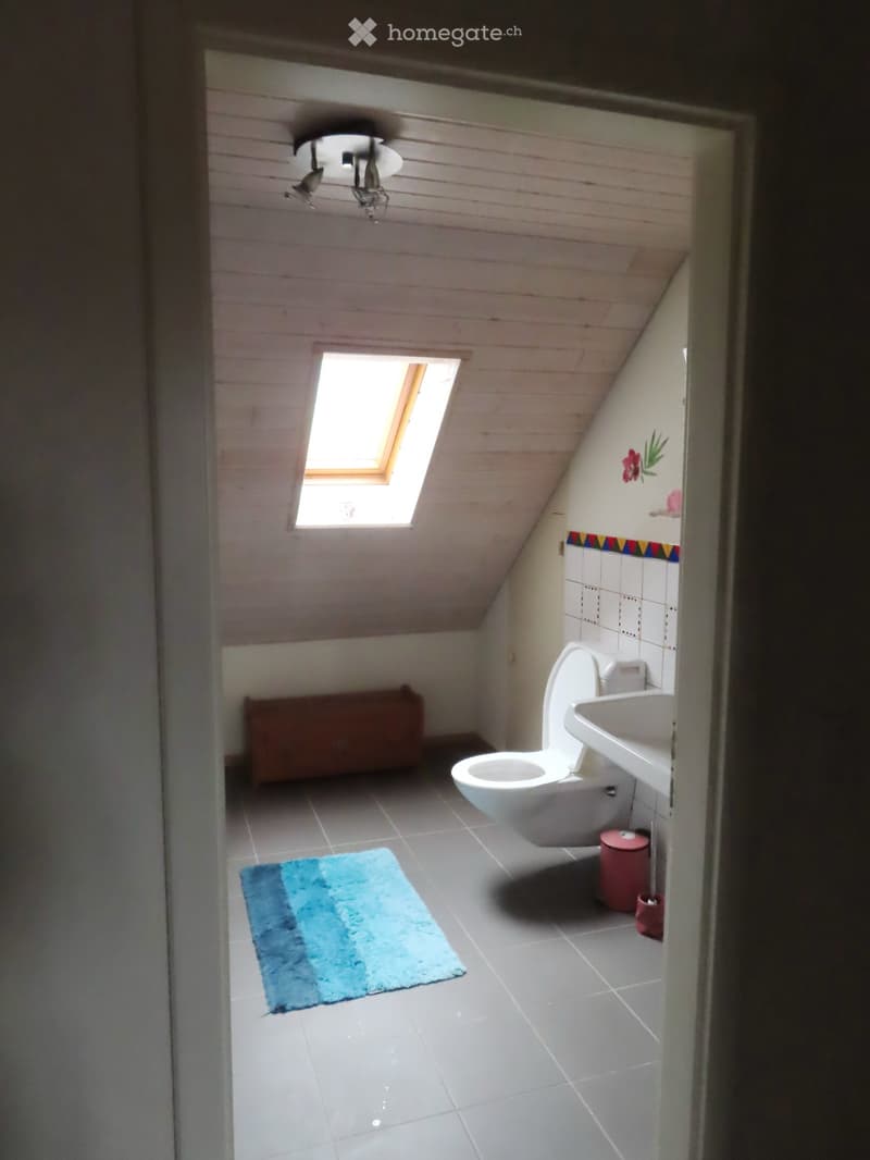 Small bathroom with a toilet, sink, blue rug, radiator, and a skylight window.