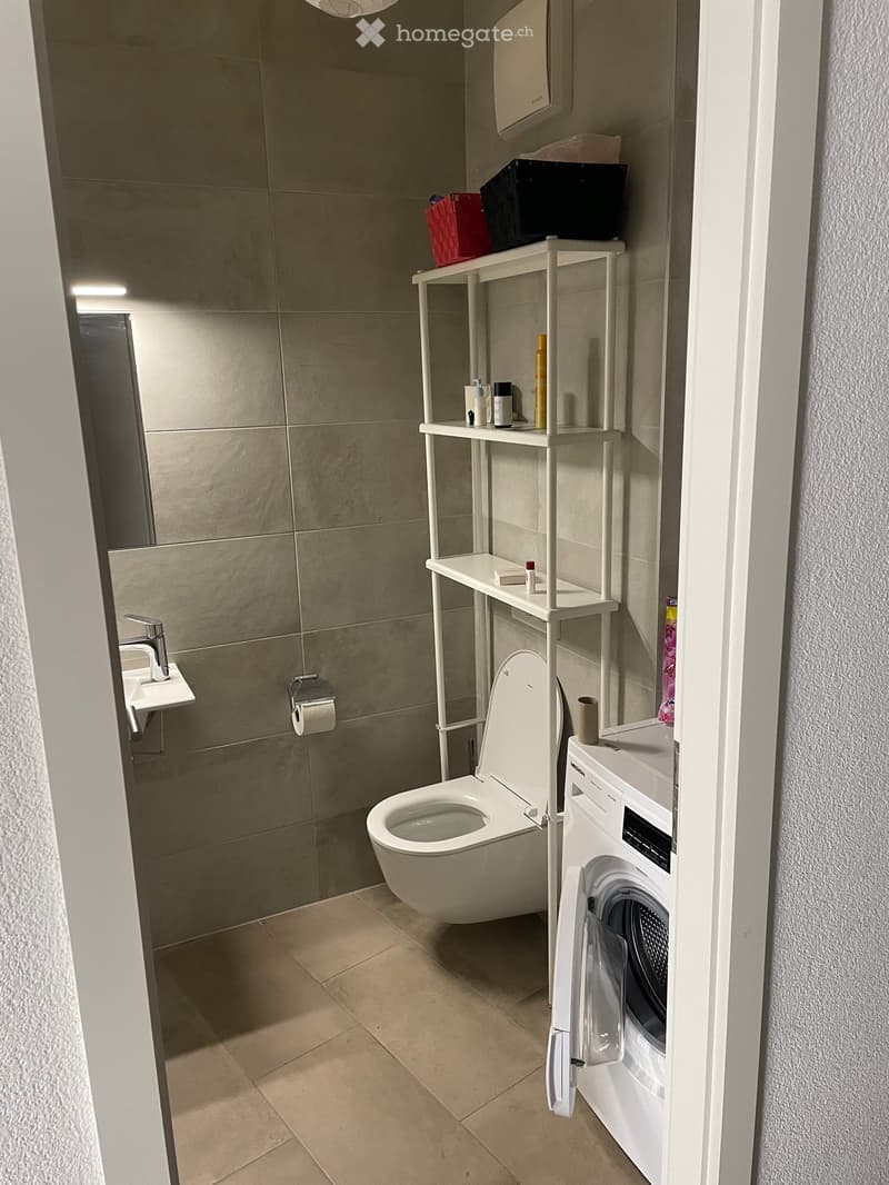 Modern bathroom with a toilet, sink, washing machine, and a white shelf holding toiletries.