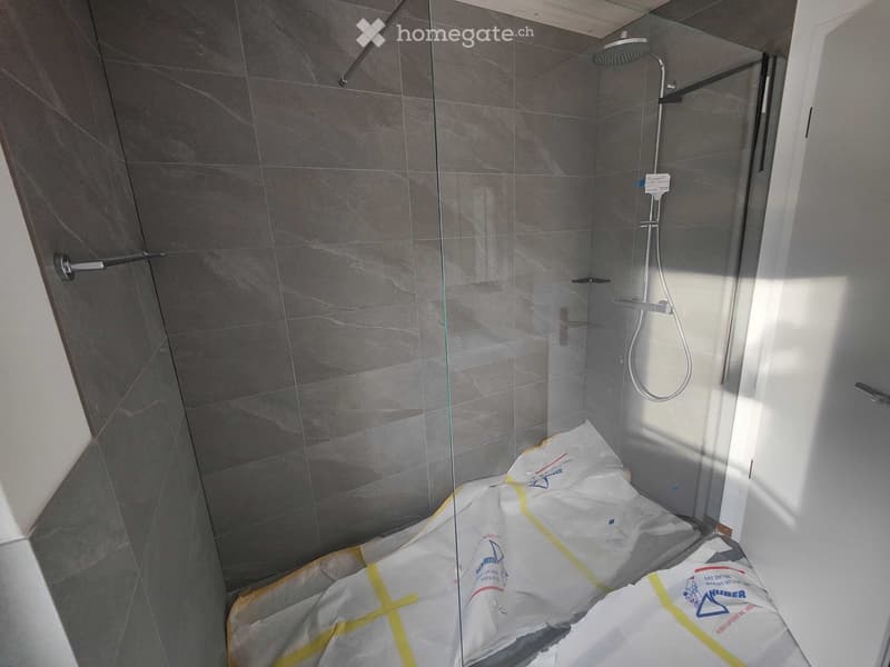Modern shower area with grey tiles, glass enclosure, and a handheld showerhead on a rail.