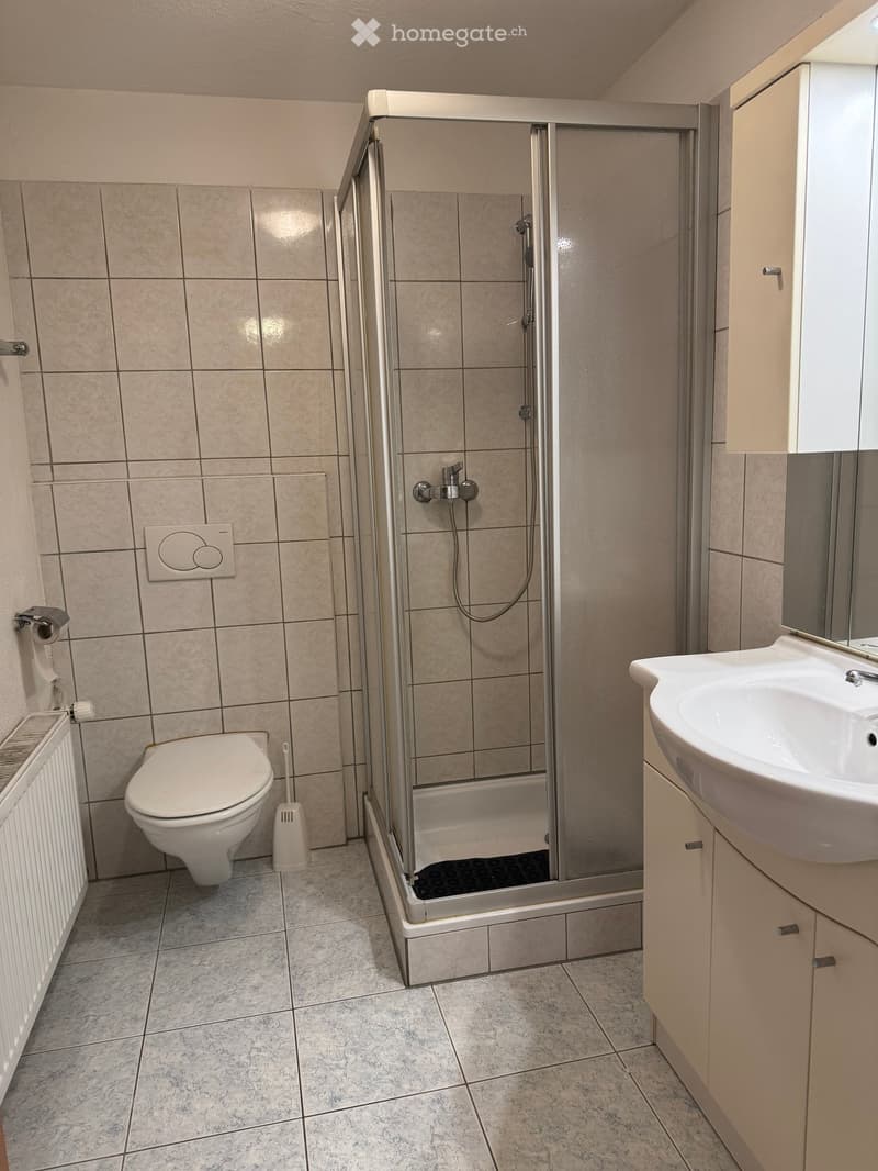 Modern bathroom with tiled walls and floor, featuring a toilet, sink, shower, radiator, and cabinet.