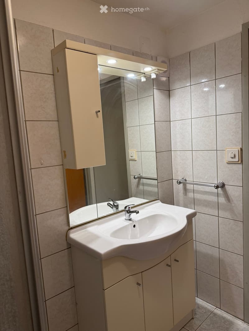 Modern bathroom with a white sink, built-in cabinet, and large mirror with built-in lighting.