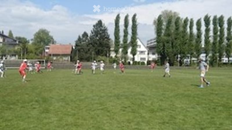 Open grassy field with children playing soccer, surrounded by trees and houses in the background.
