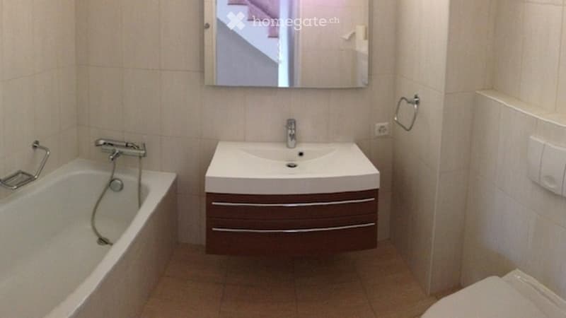 Furnished dwelling in Zurich (13)