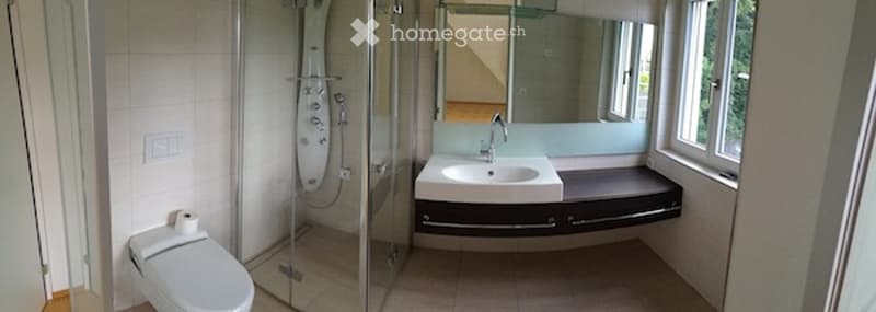 Furnished dwelling in Zurich (12)