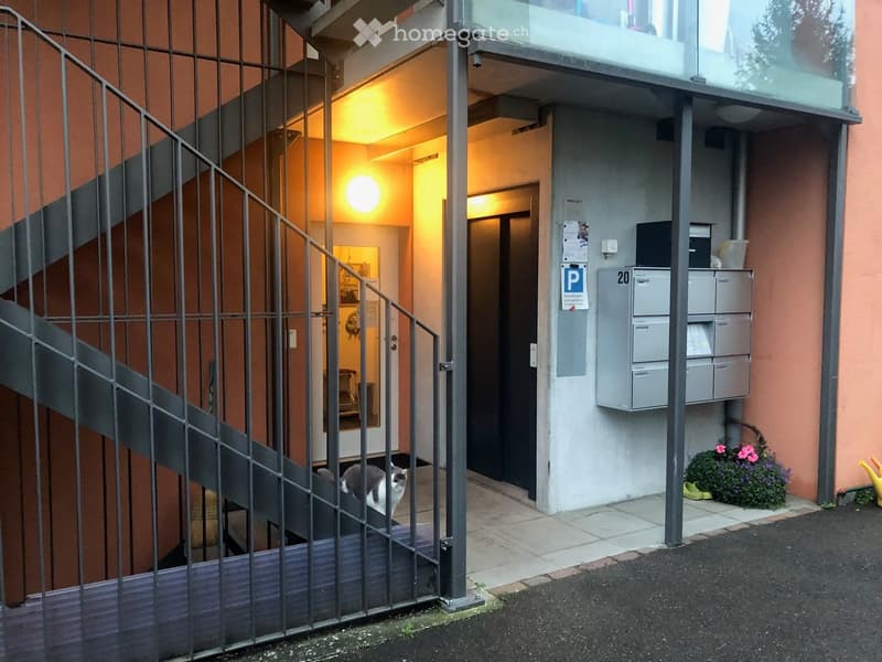 Entrance to a building with a staircase, mailboxes, and a small garden area with flowers.