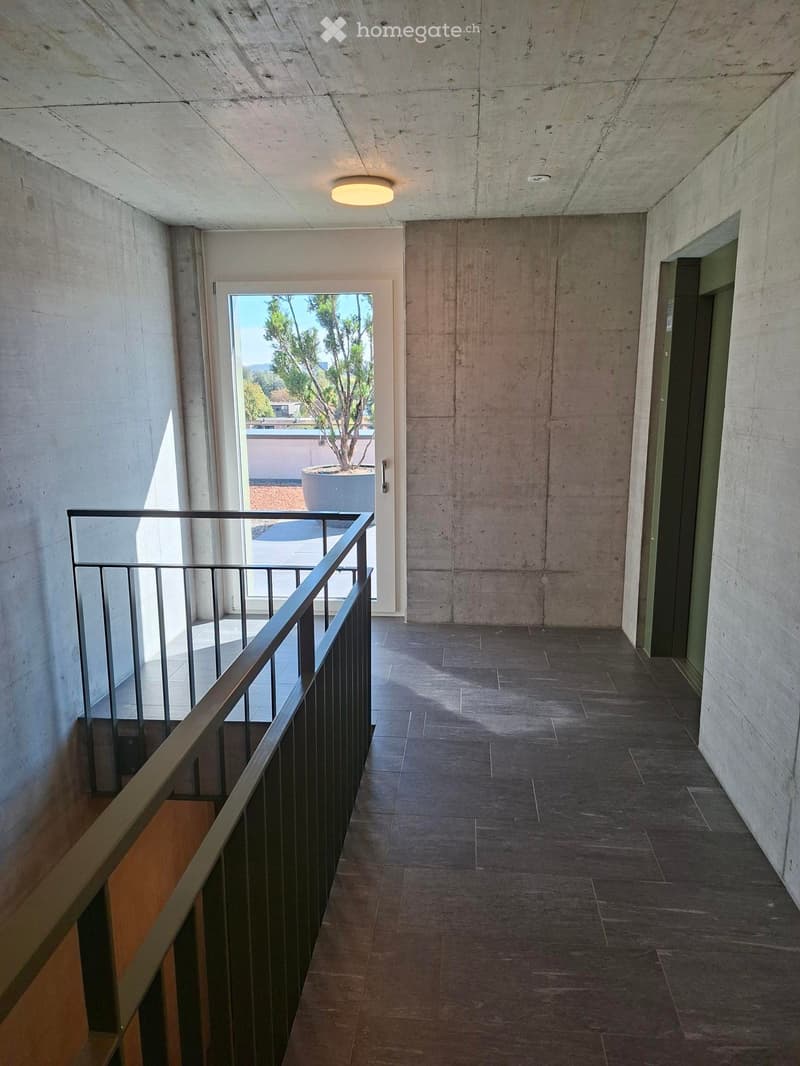 Modern hallway with dark tiled floor, concrete walls, and a metal railing leading to an outdoor area with a tree and planter visible through a large window.