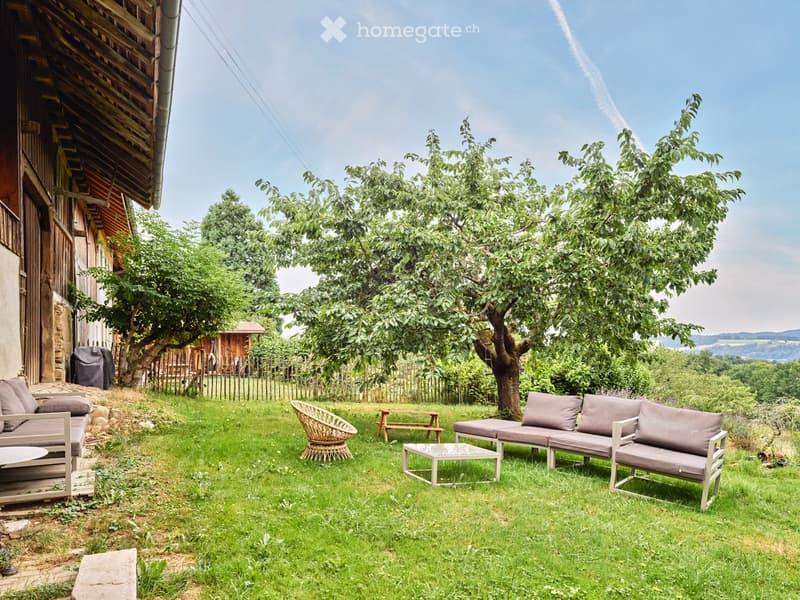 A well-maintained garden with a large tree, a wooden bench, a wicker chair, and a modern sofa set arranged on the grass.