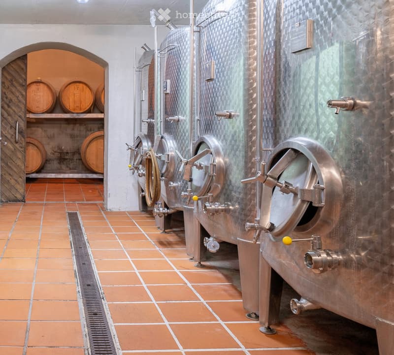 Wine cellar with stainless steel tanks and wooden barrels, tiled floor, and arched doorway.