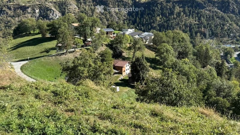 A scenic view of a rural area with several houses nestled among green hills and dense forests, surrounded by lush vegetation and a winding road.