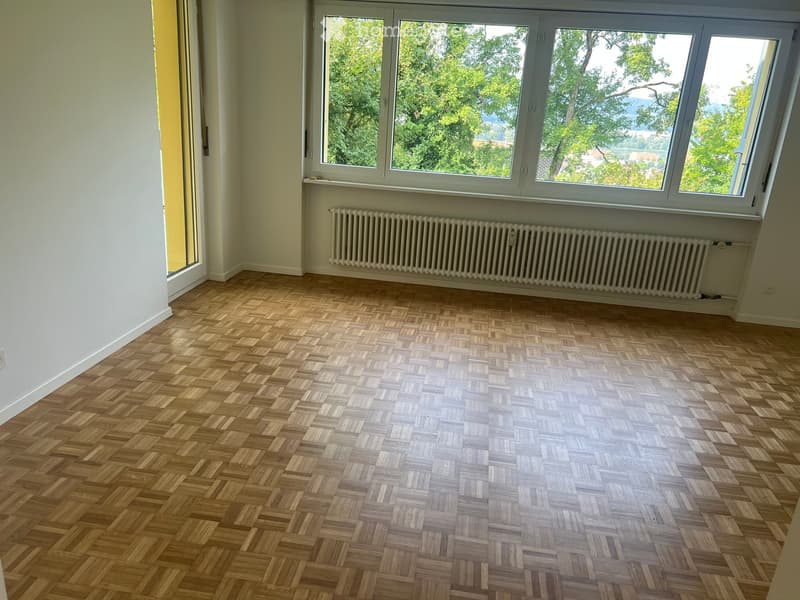 Empty room with wooden herringbone flooring, large windows with white frames, and a radiator below the windows.