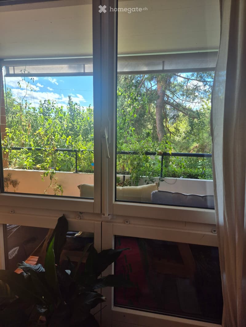 Balcony with metal railing, lush greenery visible outside, and indoor plants near the window.