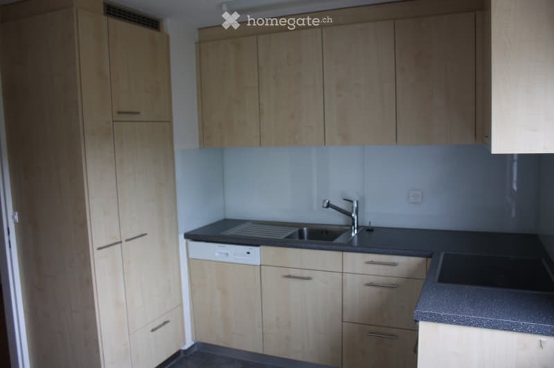 Modern kitchen with light wooden cabinets, black countertops, a sink with a faucet, and a dishwasher.