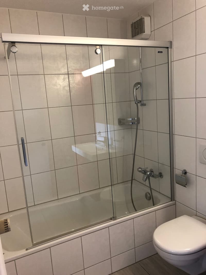 Modern bathroom with a bathtub enclosed by a glass shower enclosure, a toilet, and a showerhead with multiple spray options.