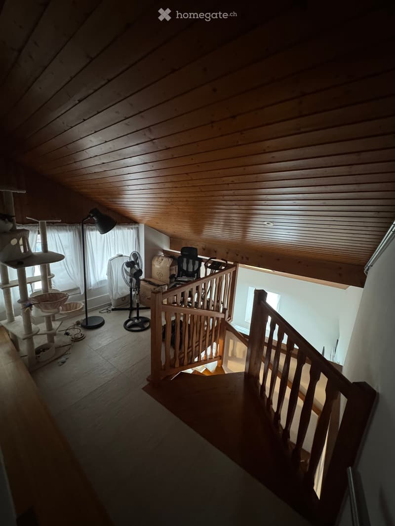 Loft-style room with wooden ceiling and floor, featuring a cat tree, fan, chair, and table lamp.
