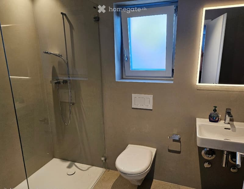 Modern bathroom with a glass-enclosed shower, toilet, sink, and a large mirror above the sink. The room features a window with frosted glass and a sleek, contemporary design.