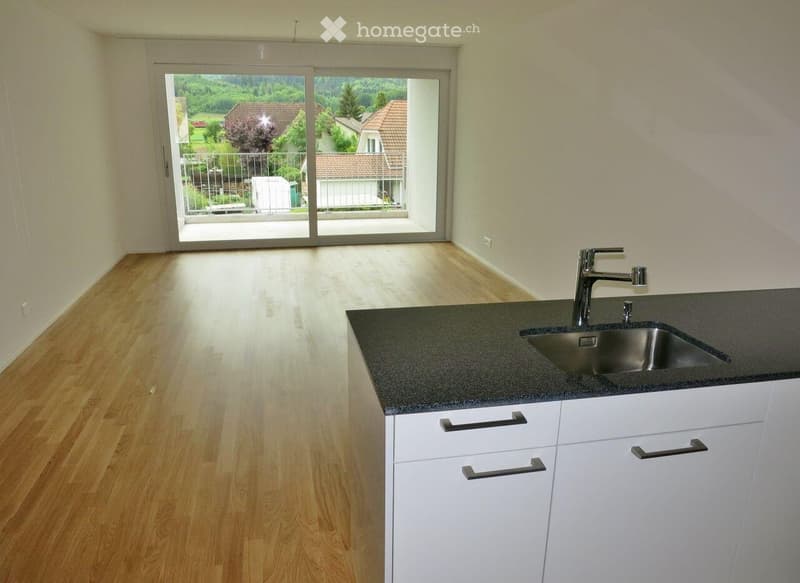 Modern kitchen with white cabinets, dark granite countertop, and a stainless steel sink. Large sliding glass door leads to a balcony with a scenic view.