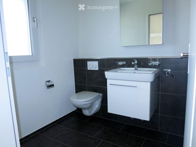 Modern bathroom with dark tiled walls and floor, white toilet, double sink with cabinet, and large mirror above.