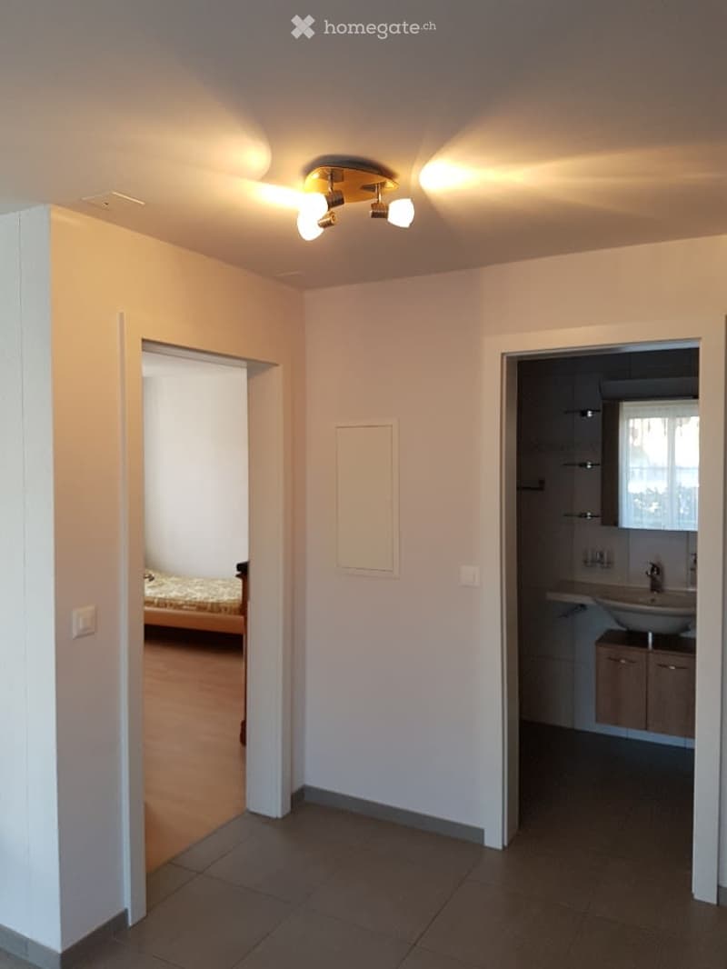The image shows a small, well-lit hallway with a modern ceiling light fixture. To the left, a partially visible bedroom with a bed and wooden flooring is seen. To the right, a small bathroom with a sink, cabinet, and mirror is visible.