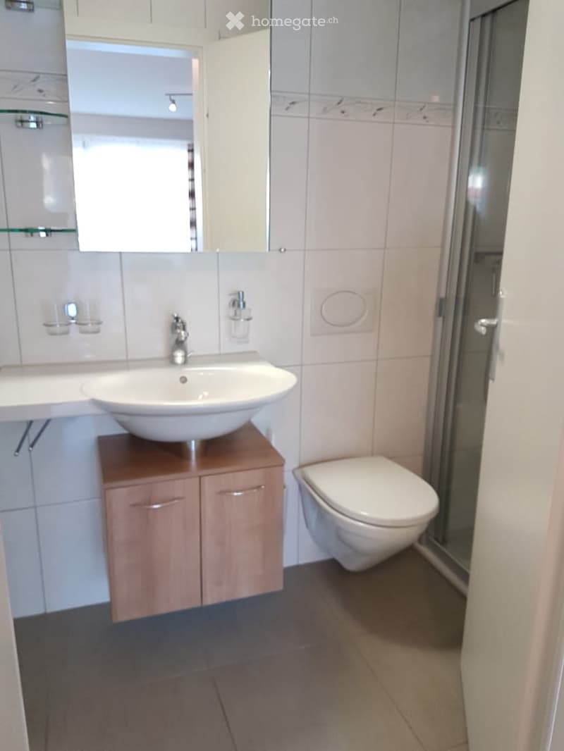 Modern bathroom with a white sink, wooden cabinet, toilet, and a large mirror above the sink.