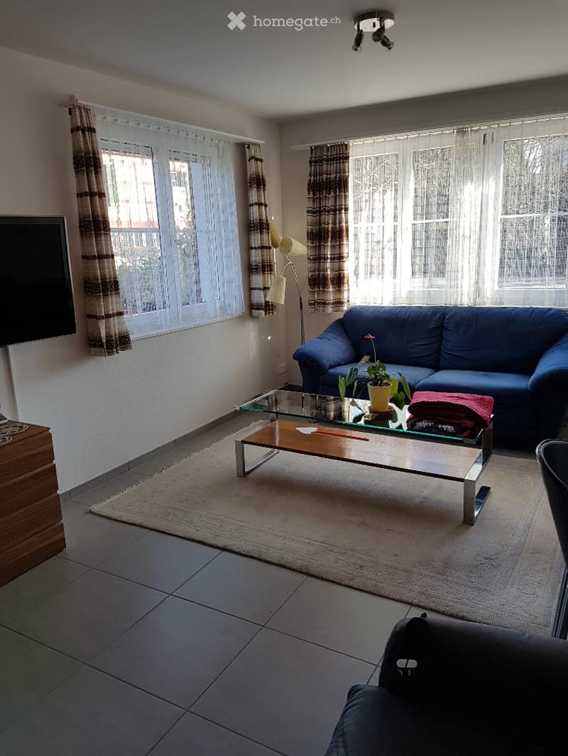 Modern living room with a blue sofa, glass coffee table, potted plant, television, and floor lamp. Large windows with curtains provide natural light.