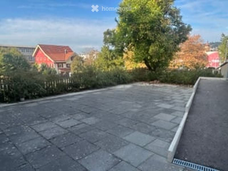 Driveway with paved surface, surrounded by greenery and neighboring houses.