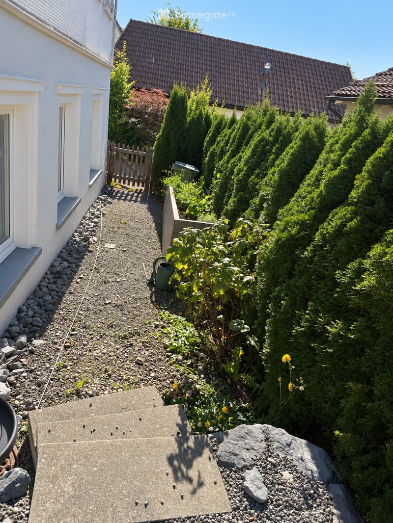 Garden area with gravel pathway, small plants, shrubs, and a wooden gate leading to another building.