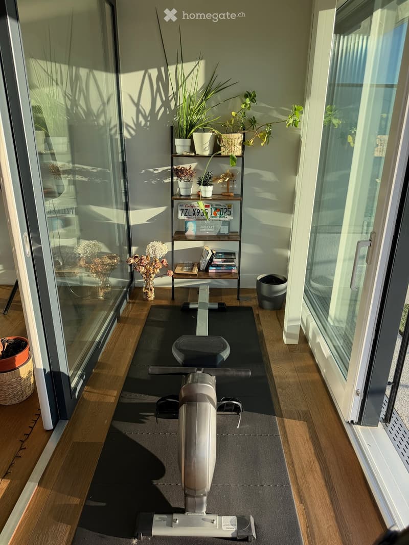 Balcony with exercise bike, shelf with potted plants and books, vases with dried flowers, and a trash can.