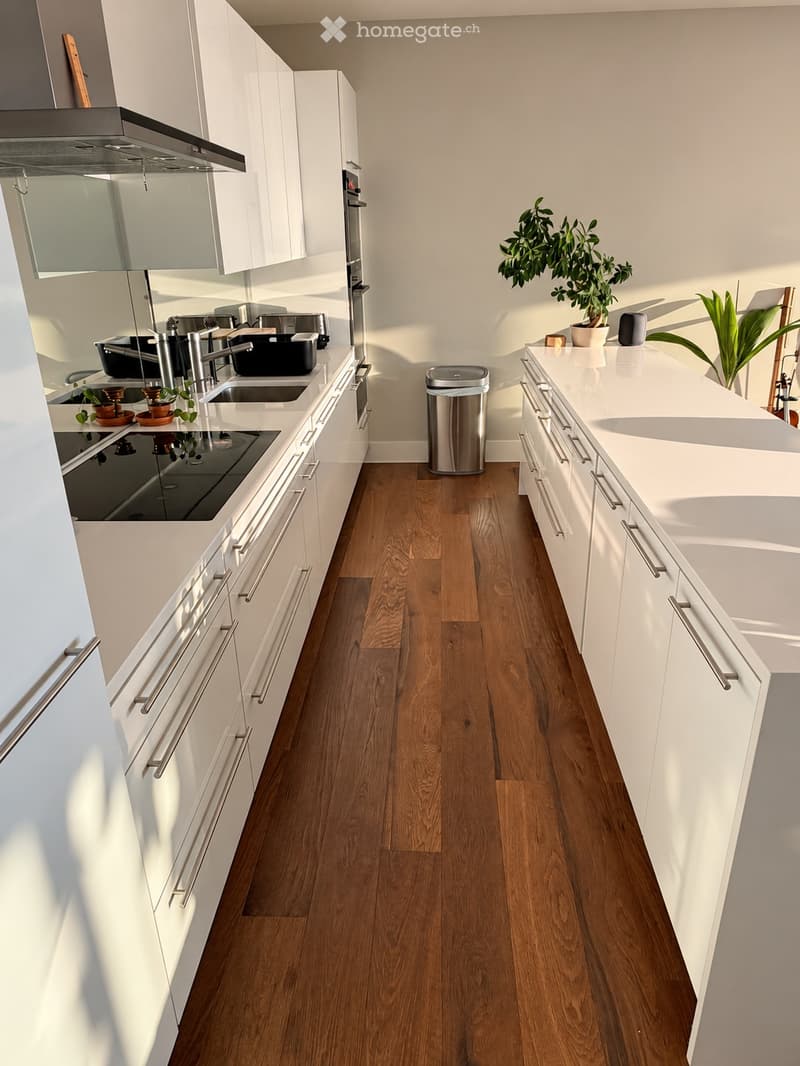 Modern kitchen with white cabinets, wooden flooring, stainless steel appliances, and potted plants on the counter.
