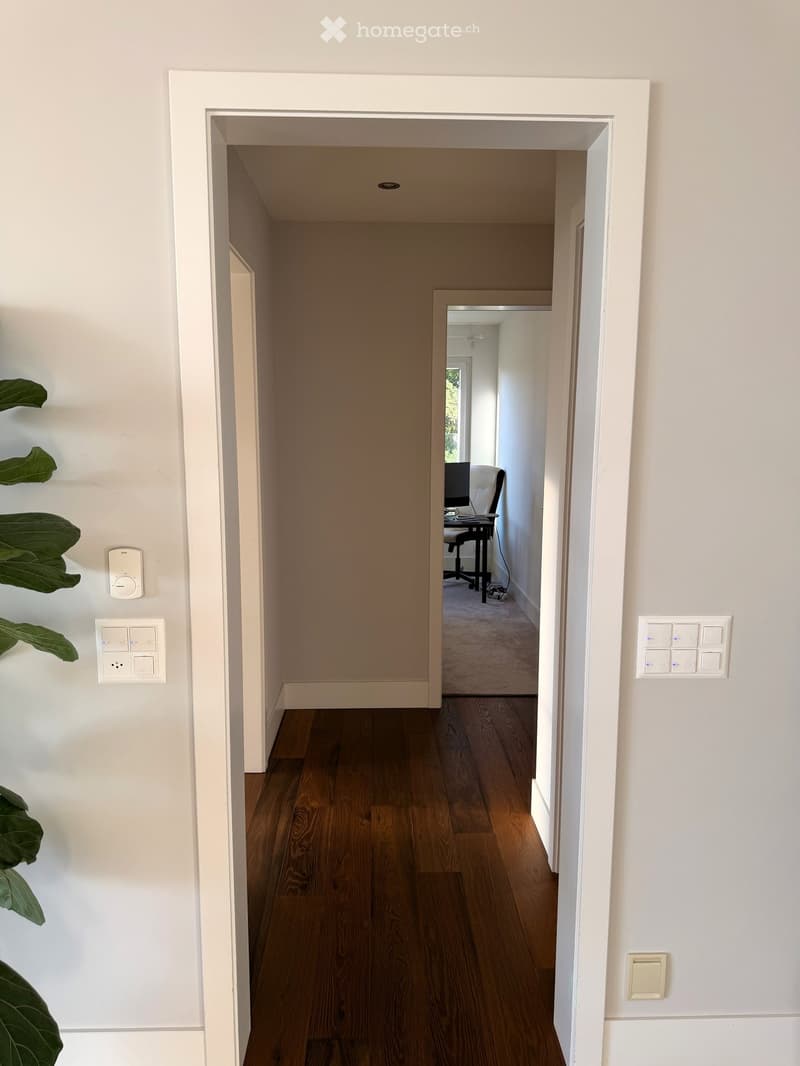 Furnished dwelling in Lutry (48)