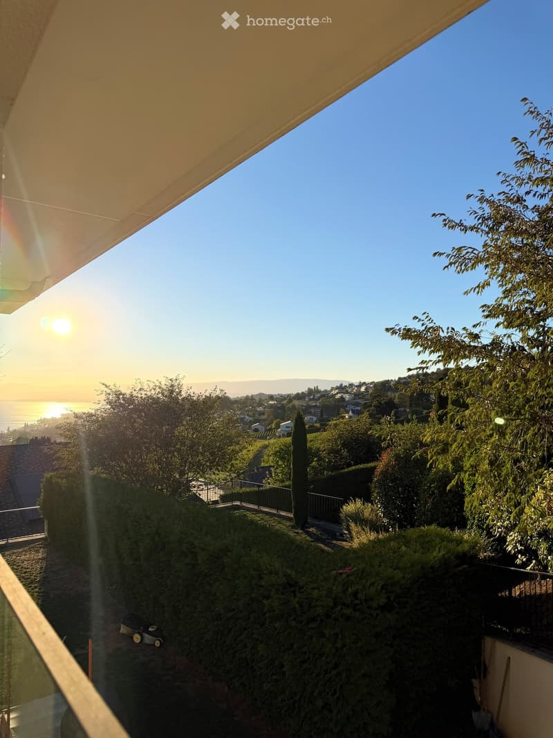 Furnished dwelling in Lutry (51)