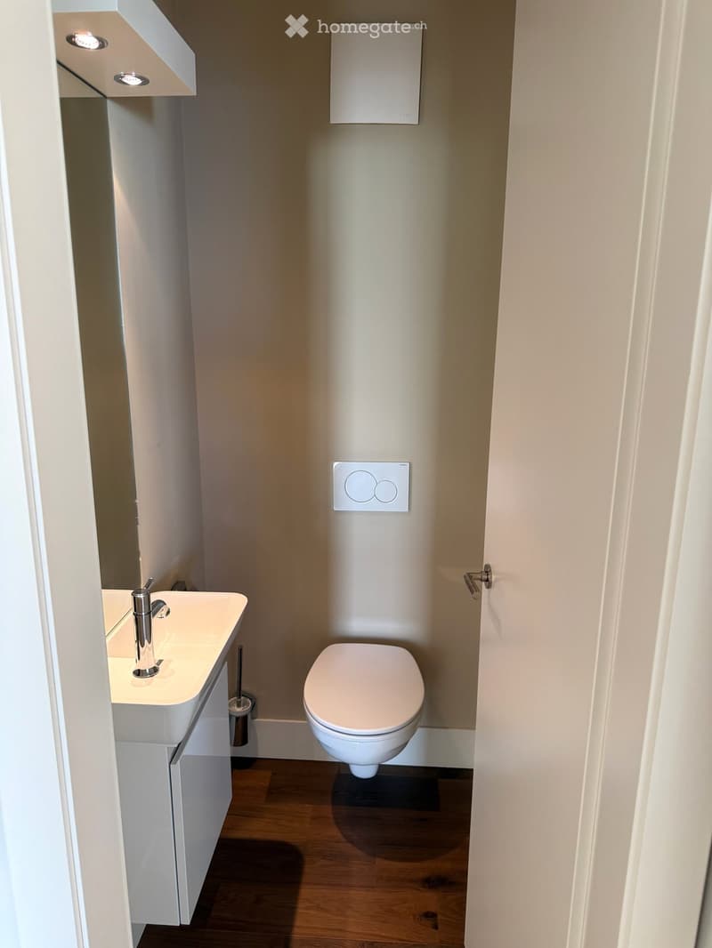 Furnished dwelling in Lutry (61)