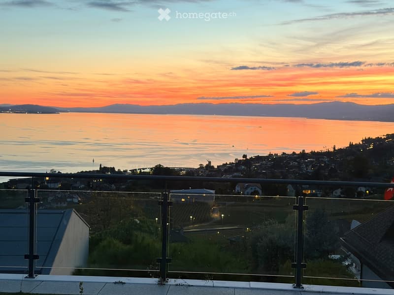 Furnished dwelling in Lutry (77)