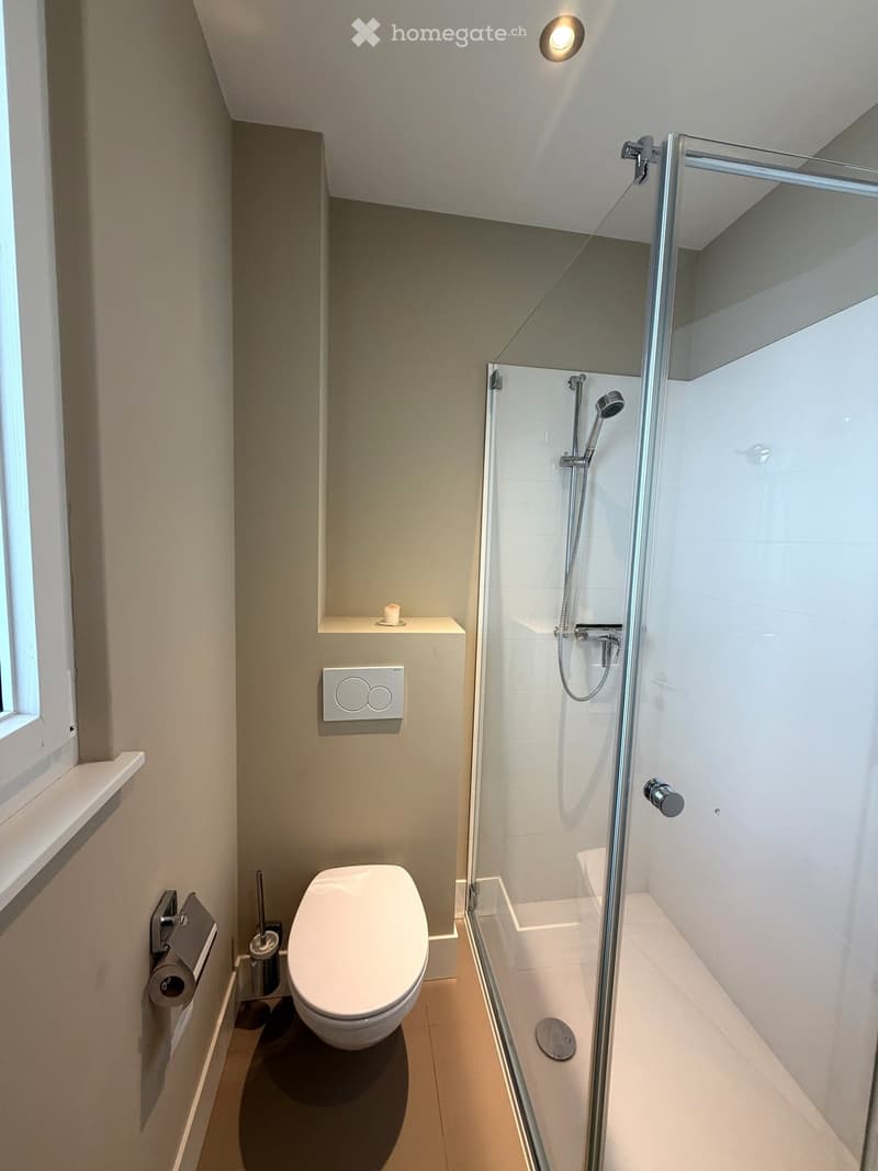 Furnished dwelling in Lutry (57)