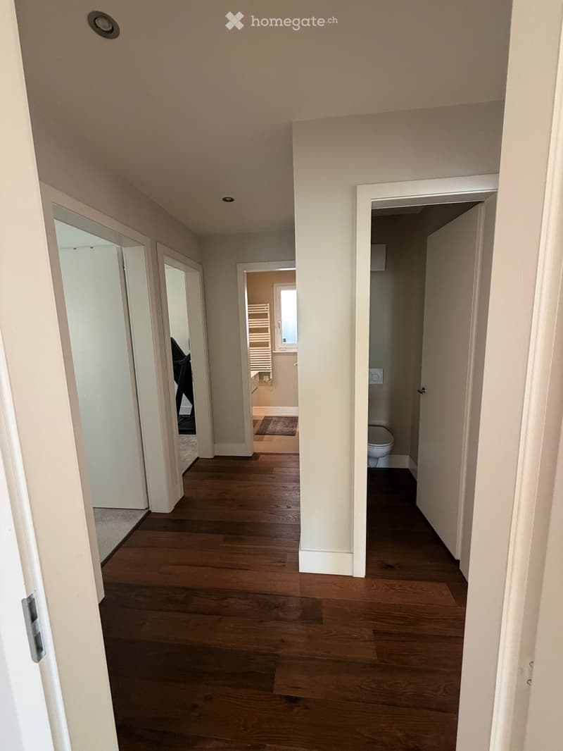 Furnished dwelling in Lutry (50)
