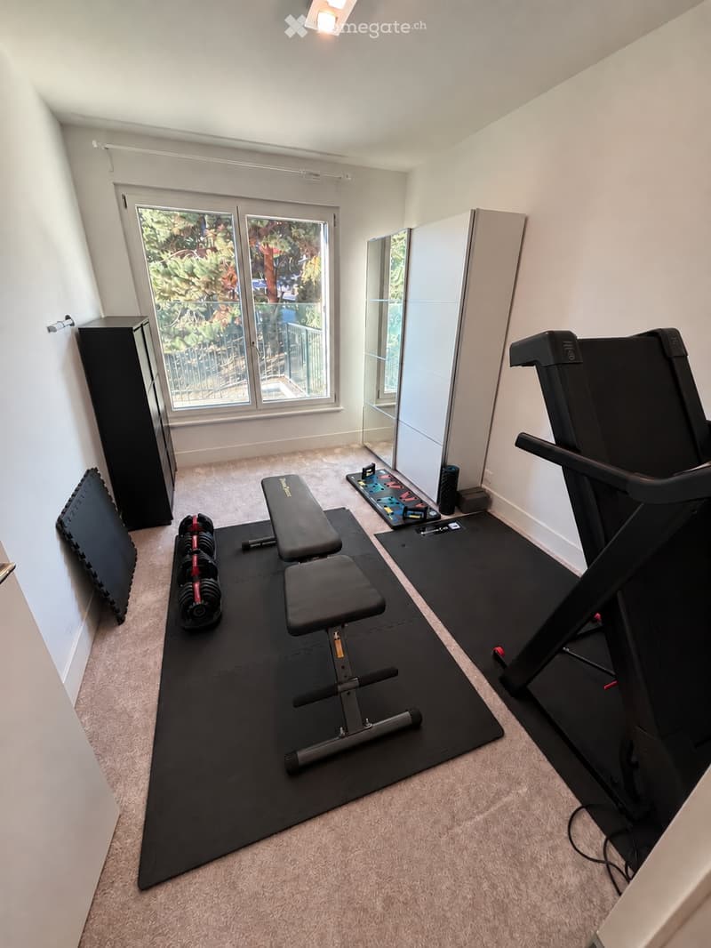 Furnished dwelling in Lutry (45)