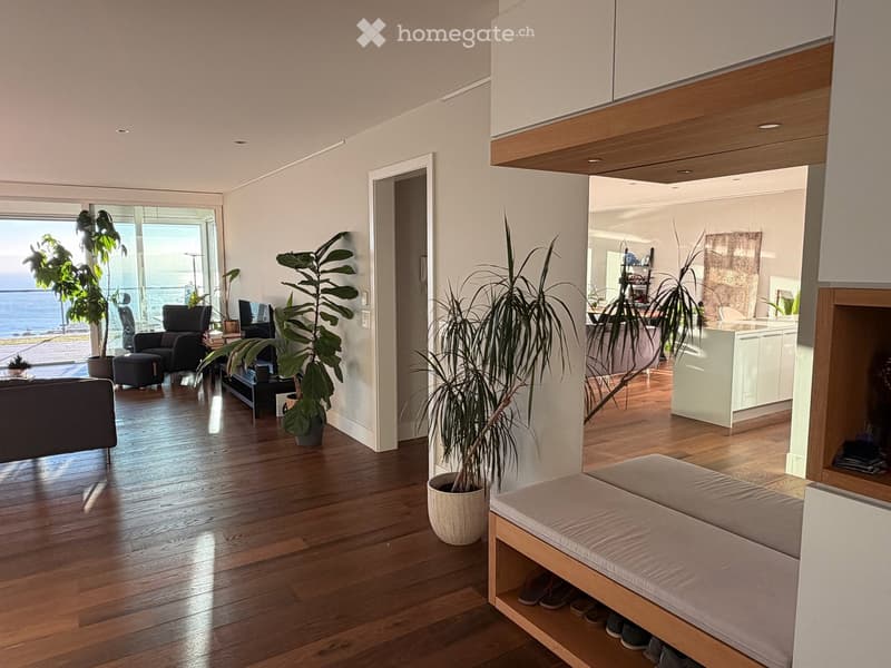 Furnished dwelling in Lutry (35)