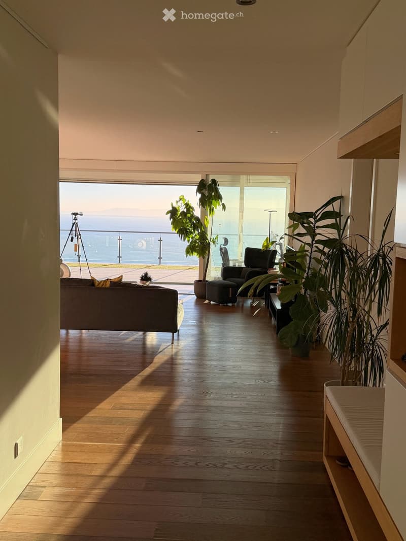 Furnished dwelling in Lutry (34)